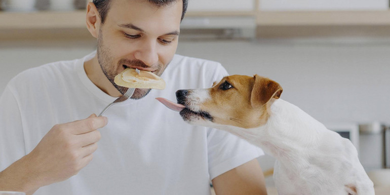 Por qué los perros no deben comer comida humana: Los peligros detrás de la indulgencia alimentaria